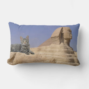 Katzen regieren. Wurf Kissen