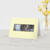 Katzen-Reich Karte (Gelbe Blume)