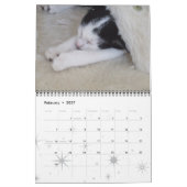 Katzen, ruhmreiche Katzen Kalender (Feb 2027)
