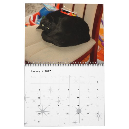 Katzen, ruhmreiche Katzen Kalender (Jan 2027)