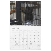 Katzen, ruhmreiche Katzen Kalender (Mär 2027)