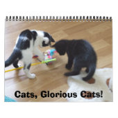 Katzen, ruhmreiche Katzen Kalender (Titelbild)