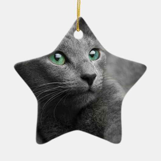 Katzen-russischer blauer Blick mustert graues Keramik Ornament (Vorne)