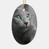 Katzen-russischer blauer Blick mustert graues Keramikornament (Links)