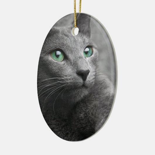 Katzen-russischer blauer Blick mustert graues Keramikornament (Links)