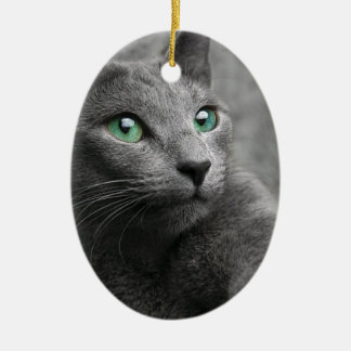 Katzen-russischer blauer Blick mustert graues Keramikornament
