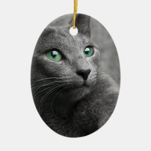 Katzen-russischer blauer Blick mustert graues Keramikornament (Vorne)