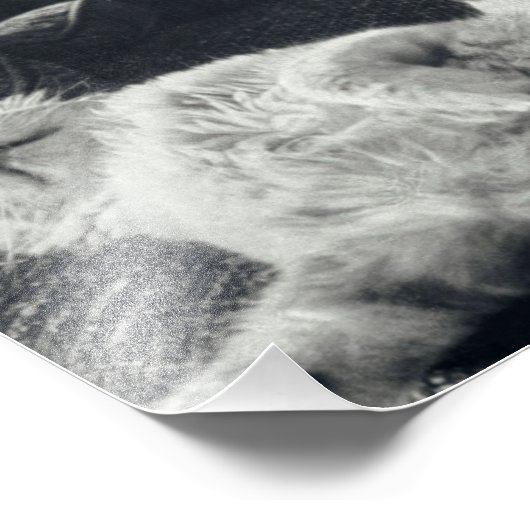 Katzen Schlafen auf Couch Feline Sofa Kitty Fotodruck (Ecke)