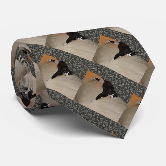 Katzen Schlafen auf Couch Necktie Krawatte (Gerollt)