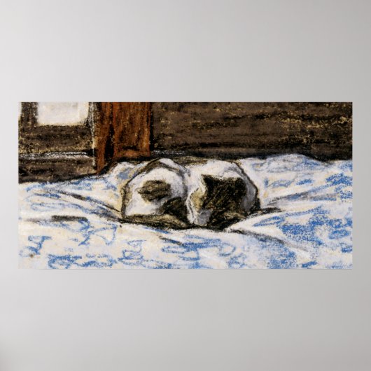 Katzen Schlafen auf einem Bett Poster (Vorne)