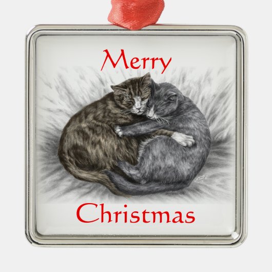 Katzen schlafen silbernes ornament (Vorne)