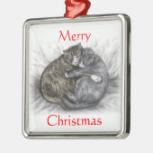 Katzen schlafen silbernes ornament (Links)
