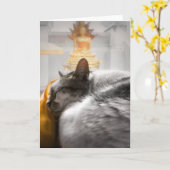 Katzen schlafen unter Buddhas Uhr Karte (Gelbe Blume)