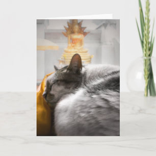 Katzen schlafen unter Buddhas Uhr Karte