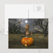 Katzen-Schlagen-Schläger Postkarte (Vorne/Hinten)