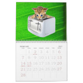 Katzen-Schleifer-Wandkalender Kalender (Feb 2027)