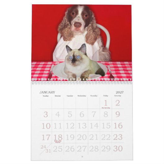 Katzen-Schleifer-Wandkalender Kalender (Jan 2027)