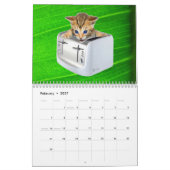 Katzen-Schleifer-Wandkalender Kalender (Feb 2027)