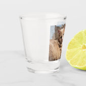 Katzen Schnapsglas (Links)