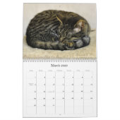Katzen Schöne Portraits für Haustiere Kalender (Mär 2026)