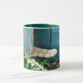 Katzen-Schwanz ~ Tasse (Zentrum)