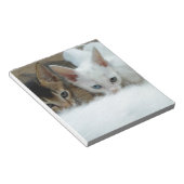 Katzen sehen niedlich aus notizblock (angewinkelt)