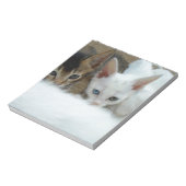 Katzen sehen niedlich aus notizblock (Rotiert)