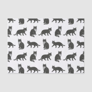 Katzen Seidenpapier