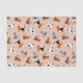 Katzen Seidenpapier (Vorderseite)