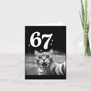 Katzen-Selfie mit 67 Meme Lustige Katzen Grafik fü Karte