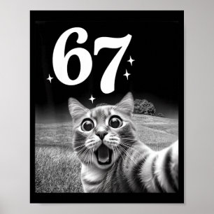 Katzen-Selfie mit 67 Meme Lustige Katzen Grafik fü Poster