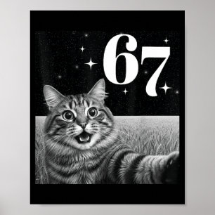 Katzen-Selfie mit 67 Meme Lustige Katzen Grafik fü Poster