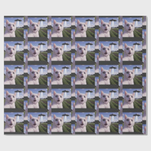 Katzen-Selfie mit Alien-UFO Geschenkpapier