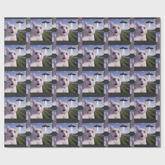 Katzen-Selfie mit Alien-UFO Geschenkpapier (Flach)