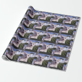 Katzen-Selfie mit Alien-UFO Geschenkpapier (Ungerollt)