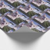 Katzen-Selfie mit Alien-UFO Geschenkpapier (Ecke)