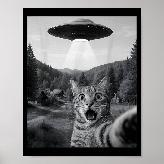 Katzen-Selfie mit Alien-Ufo Lustige Katze Lustiger Poster (Vorne)