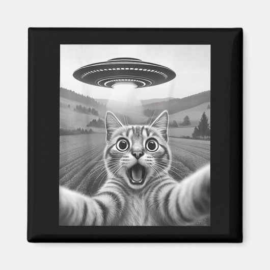 Katzen-Selfie mit Alien-Ufo Lustige Katzen-Geschen Magnet (Vorne)