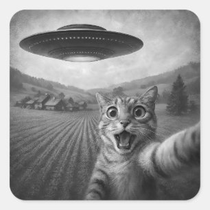 Katzen-Selfie mit Alien-UFO Lustige Katzen-Geschen Quadratischer Aufkleber