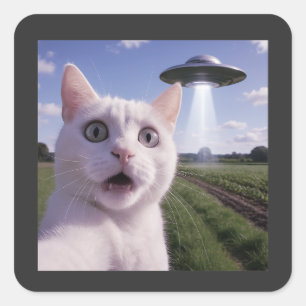 Katzen-Selfie mit Alien-UFO Quadratischer Aufkleber