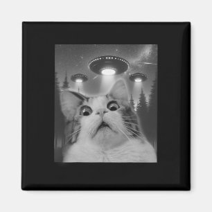 Katzen-Selfie mit UFOs Magnet