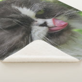 Katzen, Sherpa-Decken, Handwerk, Urlaub, elegant Sherpadecke (3/4)