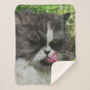 Katzen, Sherpa-Decken, Handwerk, Urlaub, elegant Sherpadecke