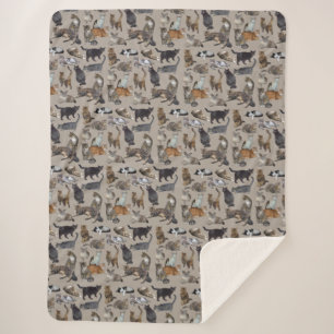 Katzen 😺 😻 😽 sherpadecke