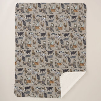Katzen 😺 😻 😽 sherpadecke