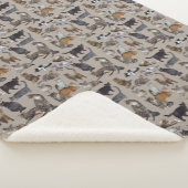 Katzen 😺 😻 😽 sherpadecke (3/4)