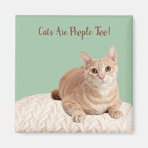 Katzen sind auch Leute