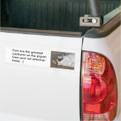 Katzen sind der bestste Autoaufkleber (Auf Lkw)