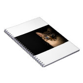 Katzen sind die besten 20 notizblock (Rechte Seite)