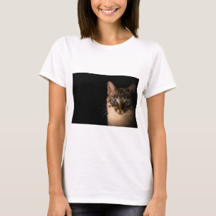 Katzen sind die besten 20 T-Shirt
